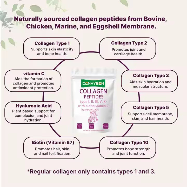 Ergänzungen OEM Kollagenpeptide Pulver für Haut Haar Gelenkgesundheit unterstützt Anti-Aging