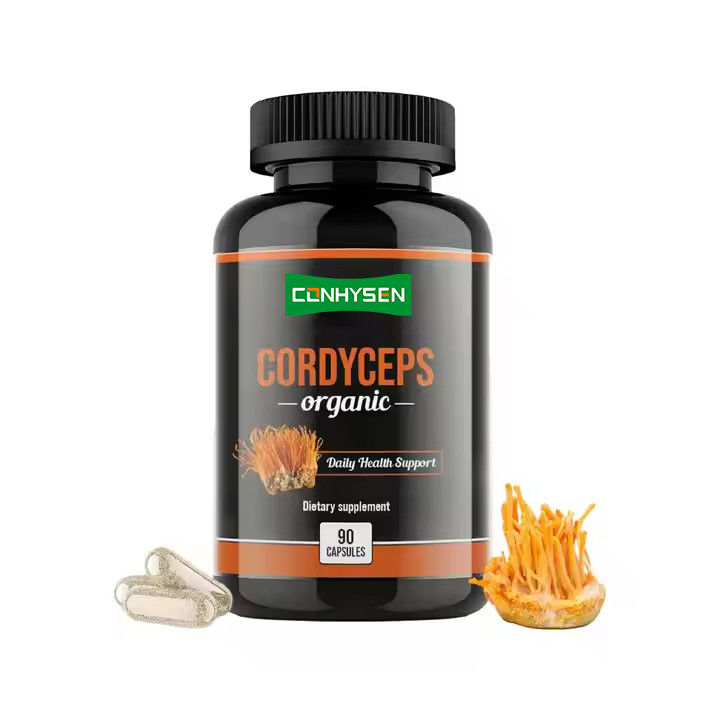 OEM ODM Organische Cordyceps-Kapseln fördern die Gehirnfunktion Kräuterpräparate Kapseln