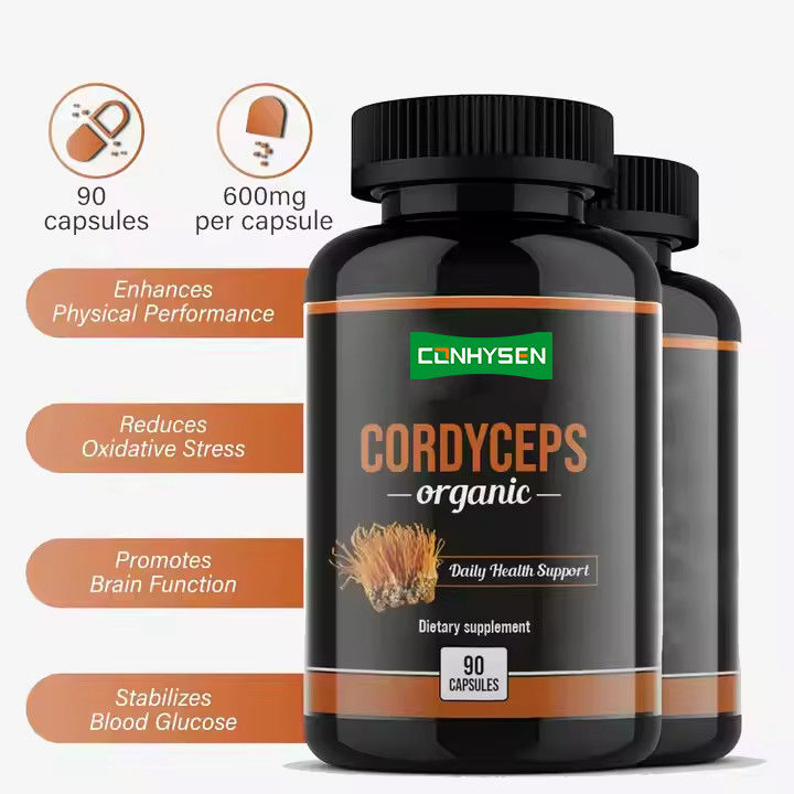 OEM ODM Organische Cordyceps-Kapseln fördern die Gehirnfunktion Kräuterpräparate Kapseln