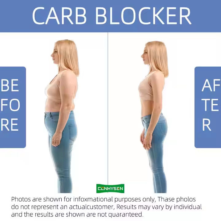L Theanin Slim Fat Burner Kapseln Nachtzeit unterstützt Gewichtsverlust OEM ODM