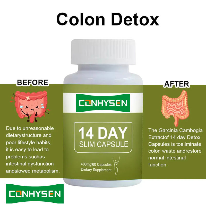 Private Label 14 Tage Abnehmen Kapseln Detox Schnell flacher Bauch mit Garcinia Cambogia Pillen