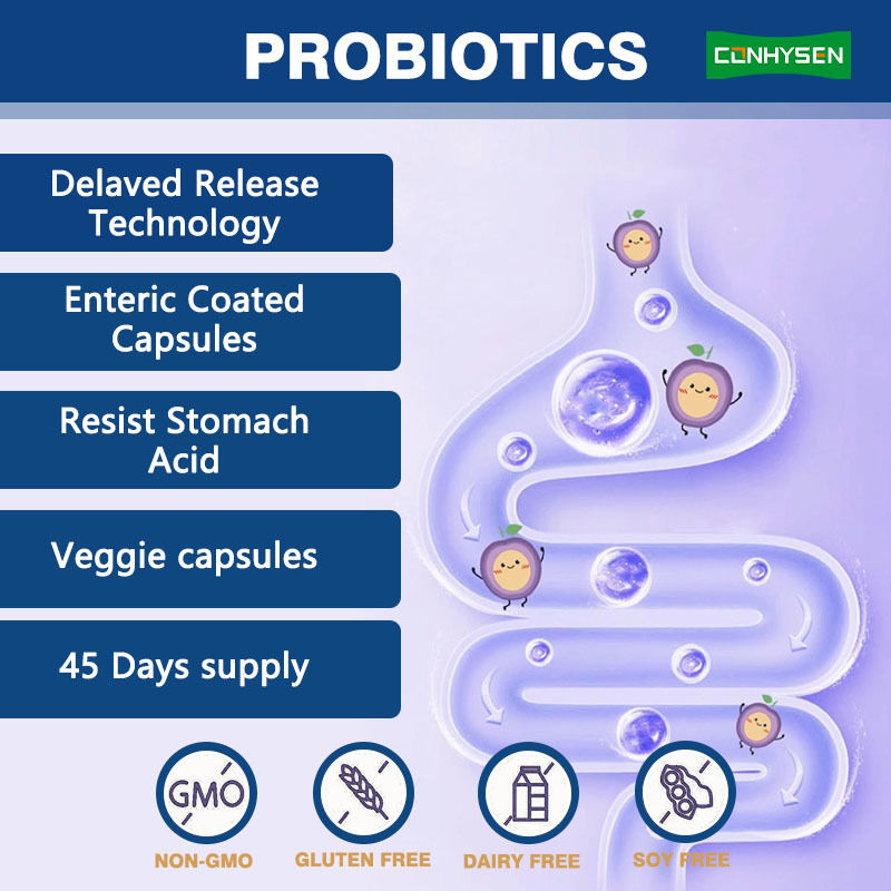 Fabrikversorgung 5-in-1 Präbiotische Kapseln verbessern die Verdauungsgesundheit Premium Probiotika Komplex