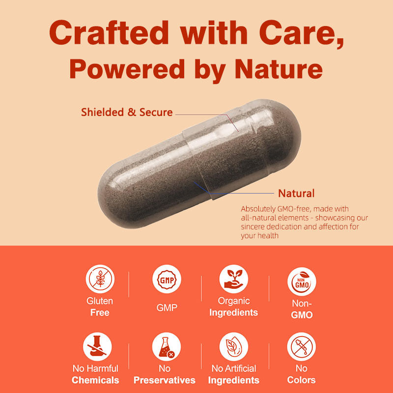 Nicht-GVO Saw Palmetto Kapseln 500 mg Komplex Unterstützung Hormonhaushalt Haargesundheit