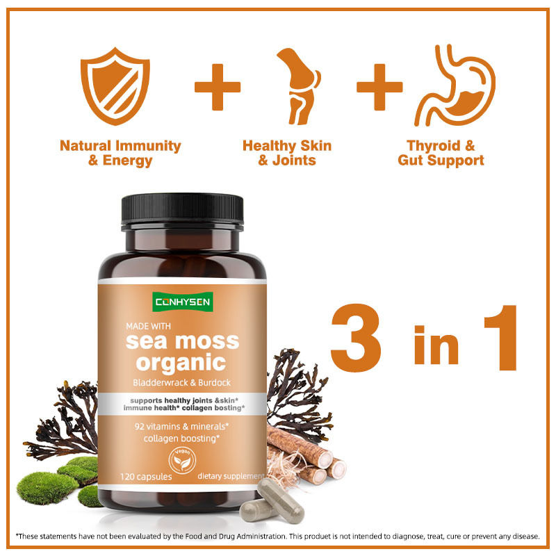 Biologische Meeresmooskapseln mit Blasenzerstörung