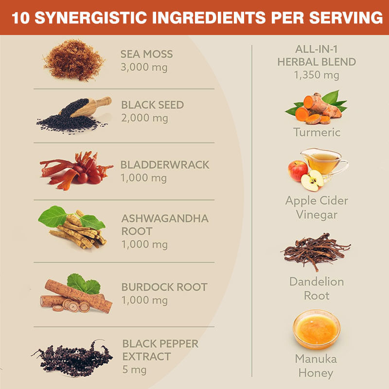 10 in 1 tägliche Energie Blena Sea Moss Kapseln fördern das emotionale Gleichgewicht mit Ashwagandha