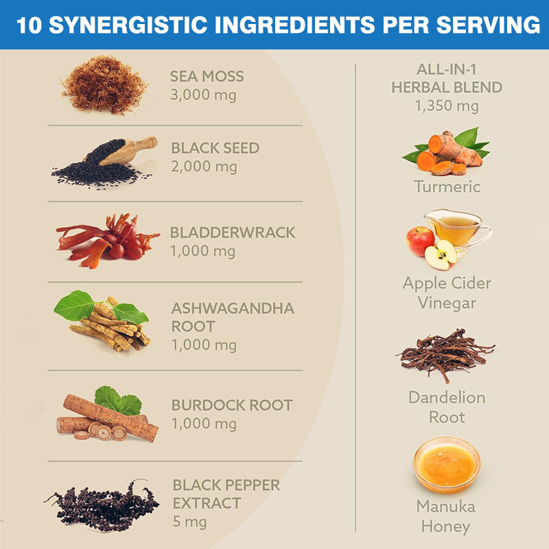 Custom Label 10-In-1 Blend Fördert das Immunsystem Sea Moss Kapseln Ashwagandha Ergänzungsmittel