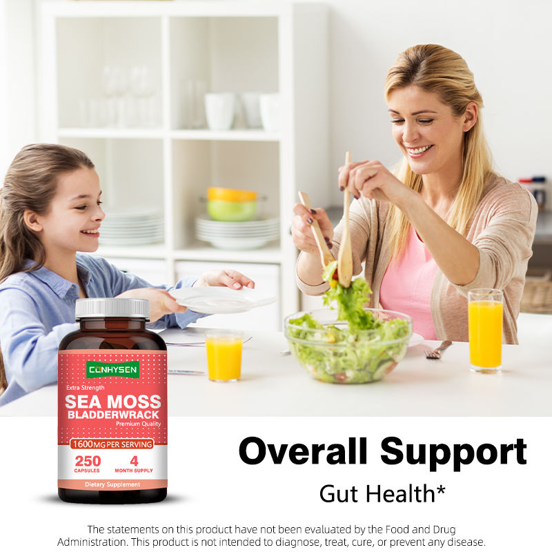Großhandel Maßgeschneiderte Extra-Strength Sea Moss Kapseln für die allgemeine Unterstützung Nahrungsergänzung