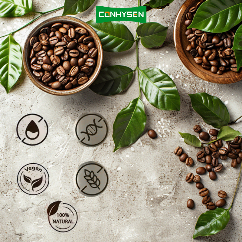 Günstigeres Erfrischungsgetränk verbessert Energie Pilzkaffee mit Cordyceps Reishi Glutenfrei
