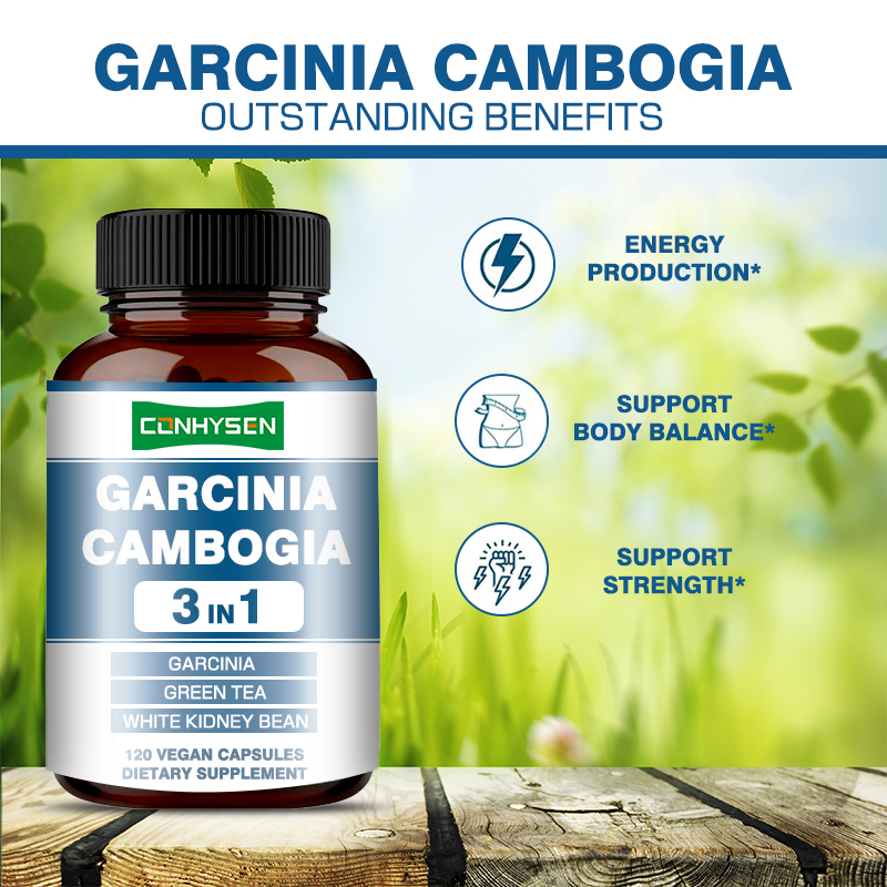 Premium Custom Garcinia Cambogia Kapseln Weiße Nierenbohnen Ergänzung für die Energiegewinnung