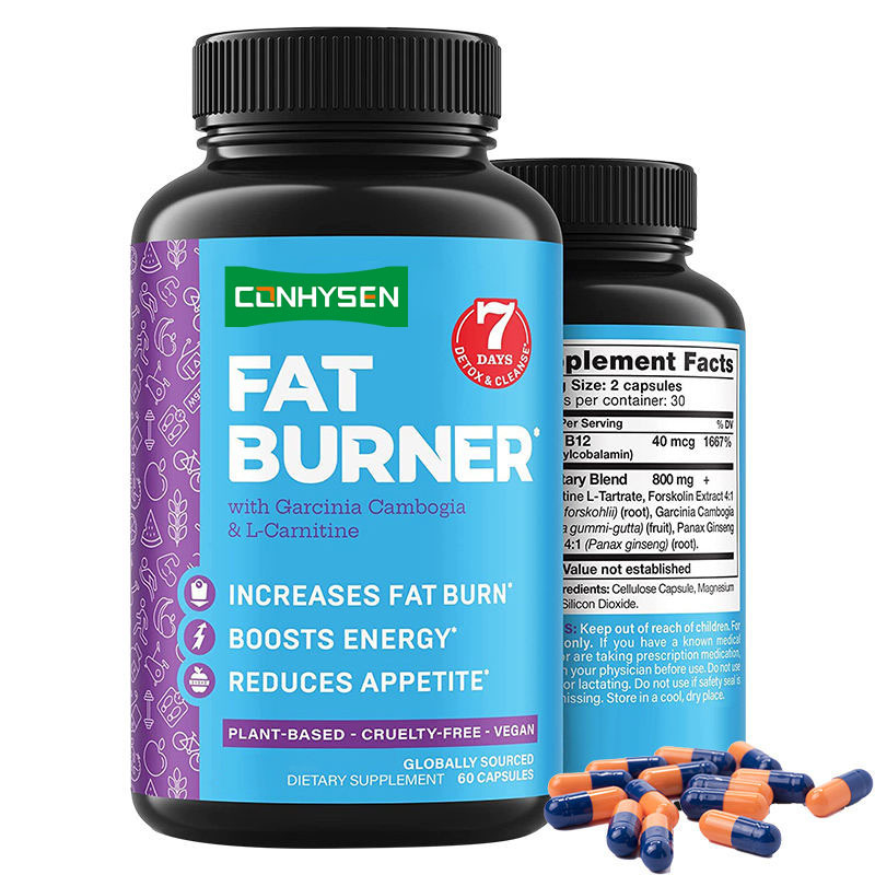 Private Label-Fettverbrenner mit Garcinia Cambogia und L-Carnitin-Kapseln unterstützen den Stoffwechsel
