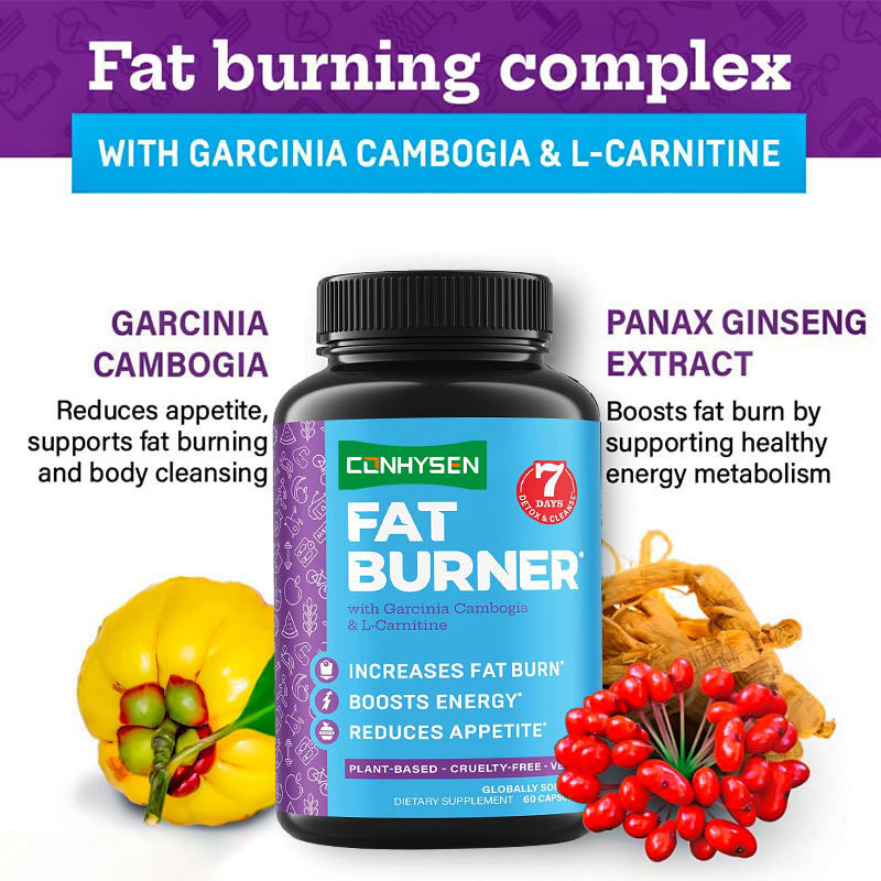 Private Label-Fettverbrenner mit Garcinia Cambogia und L-Carnitin-Kapseln unterstützen den Stoffwechsel