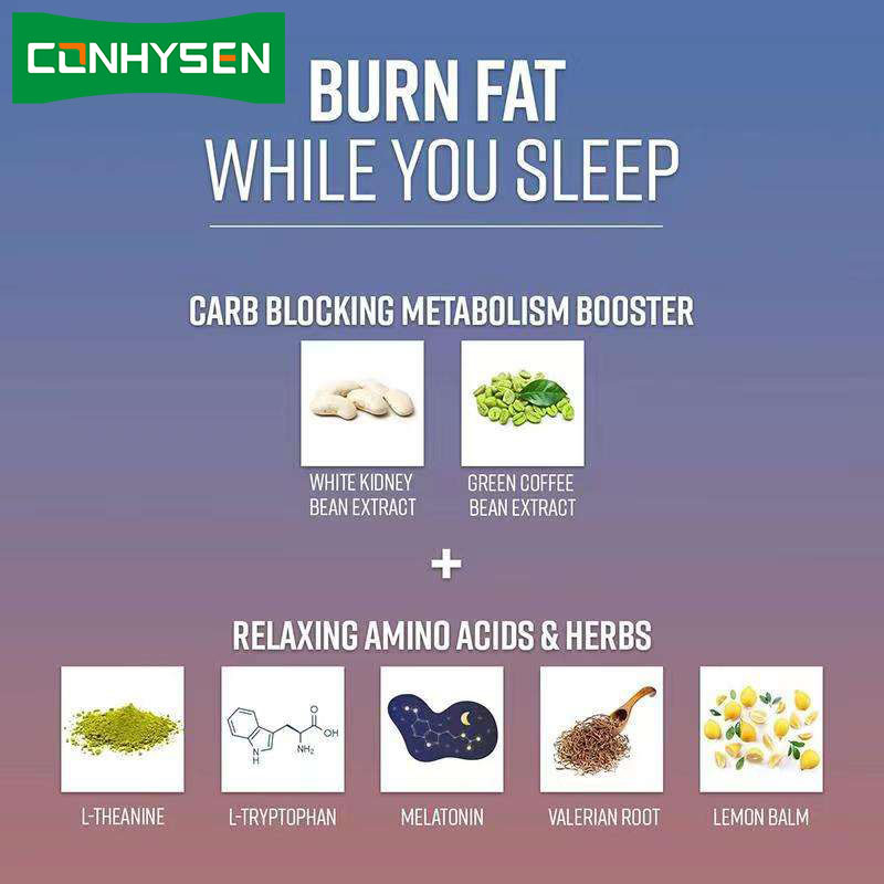 OEM Night Time Fat Burner Carb Blocker Metabolism Booster Appetitzügler für Männer und Frauen Night Time Fat Burner Kapsel