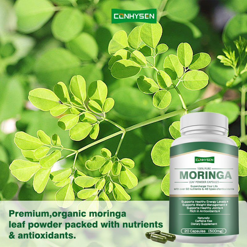 Custom Label Moringa Kapseln unterstützt Prostata gesund mit Blattpulver über 92 Nährstoffe