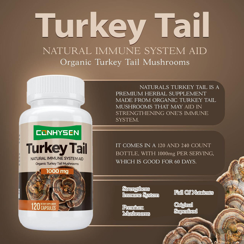 Premium Custom Turkey Tail Kapseln Fördern Gehirngesundheit und Gedächtnis Natürliche Immunsystemhilfe