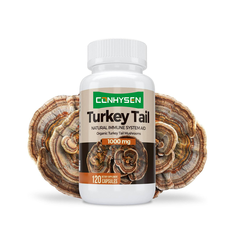 Premium Custom Turkey Tail Kapseln Fördern Gehirngesundheit und Gedächtnis Natürliche Immunsystemhilfe