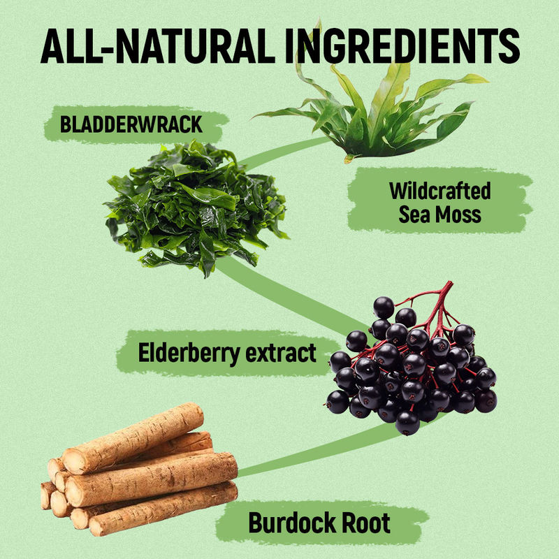 See Moos Gummis mit Vitamin C Zink Lieferant Fabrik für Antioxidationsmittel-Unterstützung