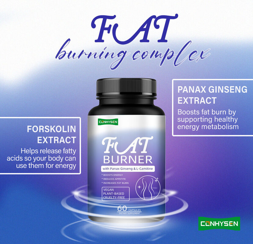 Top Qualität Fettverbrenner Ergänzung für Männer Frauen mit Panax Ginseng, L-Carnitine Extrakt 60 Vegetarische Fett Nahrungsfaser