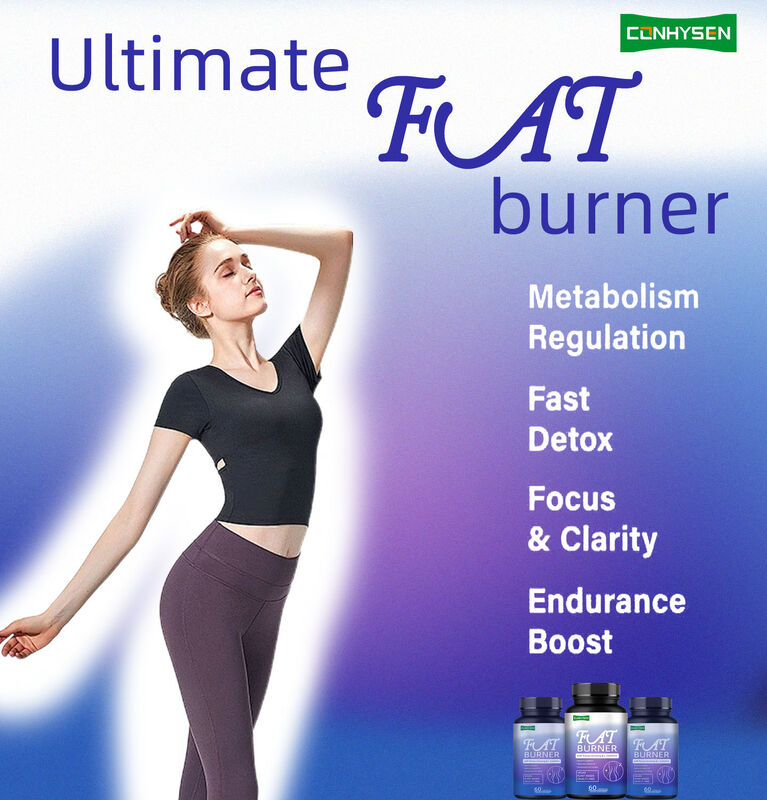 Top Qualität Fettverbrenner Ergänzung für Männer Frauen mit Panax Ginseng, L-Carnitine Extrakt 60 Vegetarische Fett Nahrungsfaser