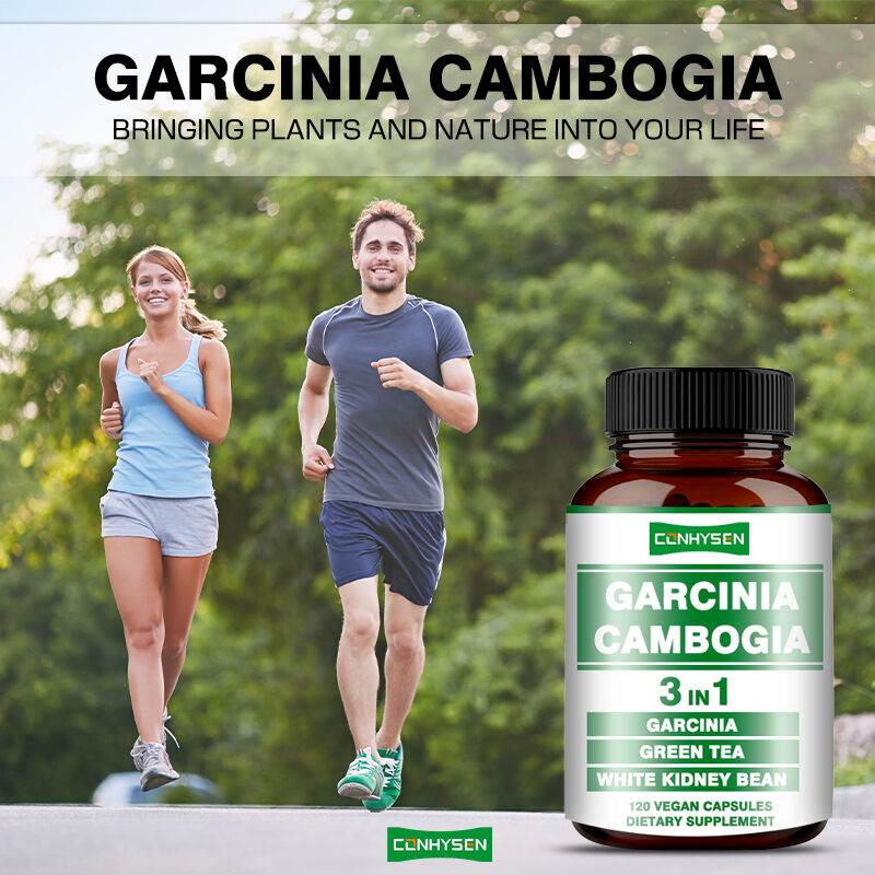 OEM Garcinia Cambogia Kapseln zur Unterstützung der Energieerzeugung Körpergleichgewicht Nahrungsfaser Kapsel Gewichtsverlust