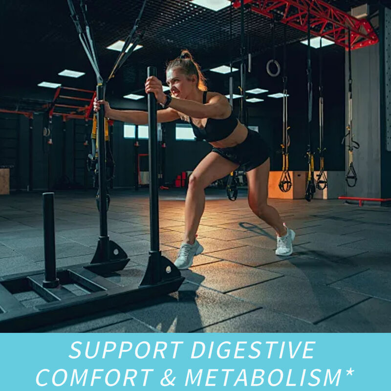 Private Label Nahrungsergänzungsmittel für Ballaststoffe Fettverbrenner Kapseln Schönheitsprodukte Nahrungsergänzungsmittel Appetitzügler & Energie-Booster