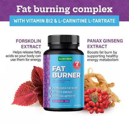 OEM-Logo Fettverbrenner Kapseln mit Vitamin B12 L-Carnitin L-Tartrat reduziert Appetit