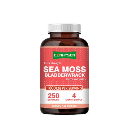 Großhandel Maßgeschneiderte Extra-Strength Sea Moss Kapseln für die allgemeine Unterstützung Nahrungsergänzung