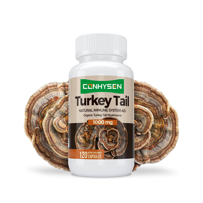 Premium Custom Turkey Tail Kapseln Fördern Gehirngesundheit und Gedächtnis Natürliche Immunsystemhilfe