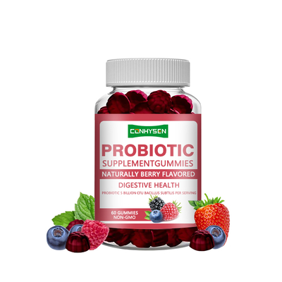 OEM/ODM Maintain Gut Balance Lieferant Probiotische Kaugummi für Erwachsene
